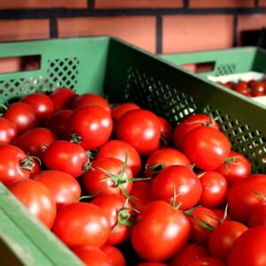 Romatomaten 8,40 €/kg