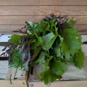 Asia-Salat, Bund 3,20 €