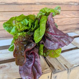 Bunter Mangold, Bund 3,20 €