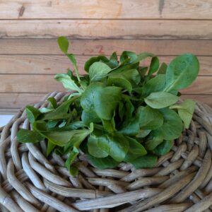 Feldsalat 29,00 €/kg