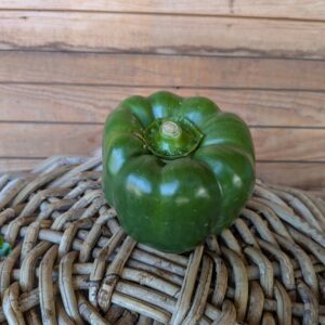 Paprika (grün, blockig) 9,90 €/kg