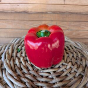 Paprika (rot, blockig) 10,90 €/kg