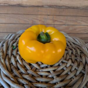 Paprika (gelb, blockig) 10,90 €/kg