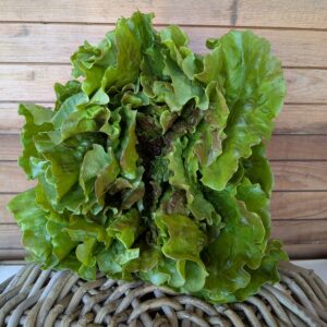 Salat Stück 2,60 €