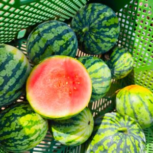 Wassermelonen Stück 4,50 €