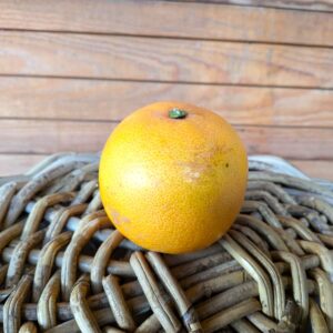 Grapefruit Stück 1,90 €