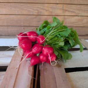 Radieschen, Bund 2,40 €