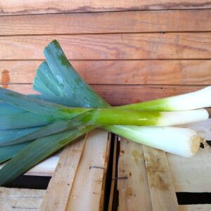 Porree 6,40 €/kg