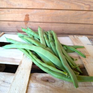 Stangenbohnen 9,90 €/kg