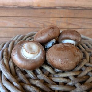 Steinchampignons 16,00 €/kg