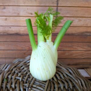 Fenchel 7,90 €/kg