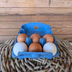 Eier, 6er Packung