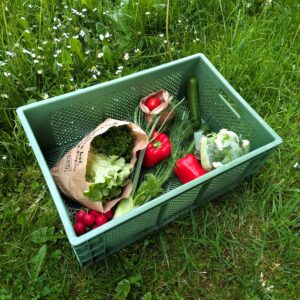&Uuml;berraschungs-Gem&uuml;sekiste, 3-w&ouml;chentliche Lieferung