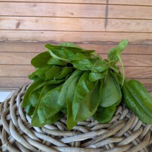 Spinat 10,90 €/kg
