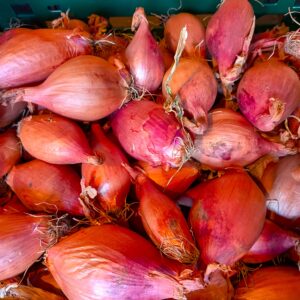 Schalotten 8,80 €/kg