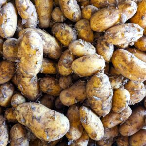 Frühkartoffeln 3,90 €/kg